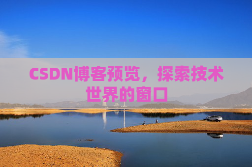 CSDN博客预览,探索技术世界的窗口